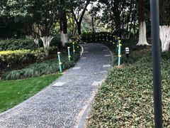 -常州古运河南大街文化旅游区-人民公园