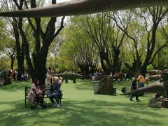 -南通洲际绿博园