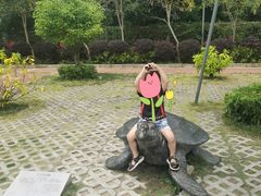 -广东惠东海龟国家级自然保护区