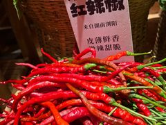 -田小狗的饭店(碧桂园店)