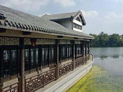 -大塘金香草谷