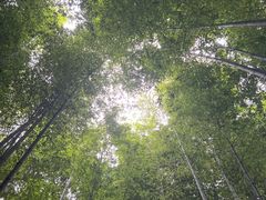 -宝岩生态观光园