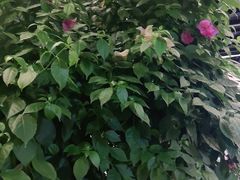 -浮何烤铺(桐梓林店)