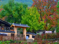 -塔川景区