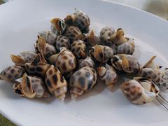 -海之鲜大排档(东山海鲜金銮湾店)