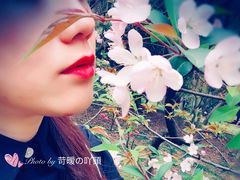 -武汉大学-樱园