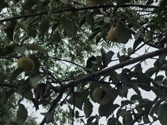 -张掖大佛寺景区