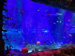 -沈阳海洋探索中心