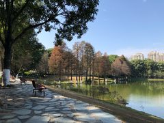 -东莞植物园