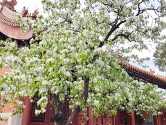-故宫博物院(故宫)