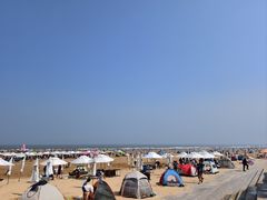 -日照海滨国家森林公园