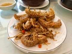 -五谷芳乳鸽王(梅沙老店)