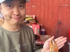 -老财炒饭·熟地蟹·冬瓜蟹