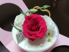 -蜜度烘焙坊(振中路店)