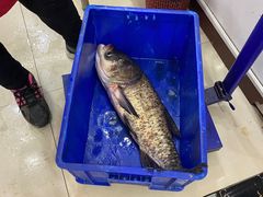-雪野鱼头大王邢府公老店(雪野湖店)