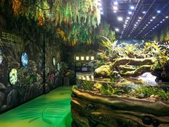 -海合安成都极地海洋公园