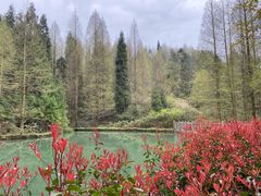 -山王坪喀斯特国家生态公园