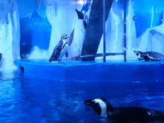 -多彩贵州城极地海洋世界