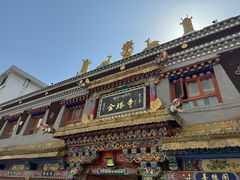 -金塔寺