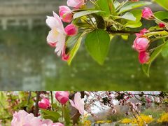 -海棠花溪(元大都城垣遗址公园)