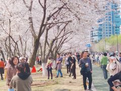 -西北湖绿化广场