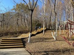 -长春世界雕塑园冰雪艺术天地