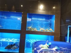 -金时代顺风大酒店(临港百联店)