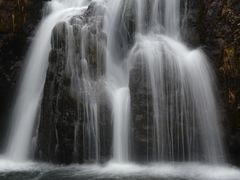 -龙苍沟森林公园