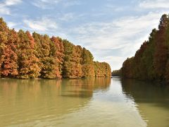 -上海海湾国家森林公园