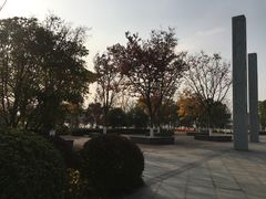 -映月湖中央公园