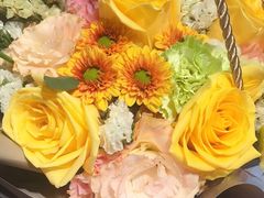 -云朵上的鱼(莘庄店)