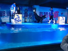 -邯郸海洋世界
