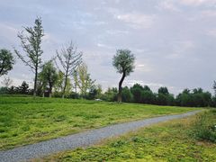 -汉长安城未央宫国家考古遗址公园