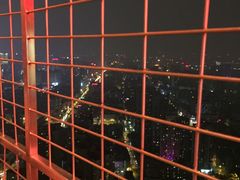 -339旋转餐厅(天府熊猫塔店)