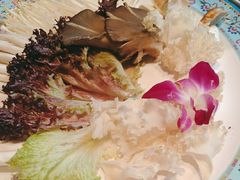 -南门四季铜锅涮肉(大屯·北苑店)