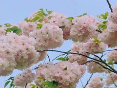 -燕儿岛山公园
