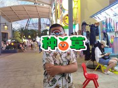 -三亚海昌梦幻海洋不夜城