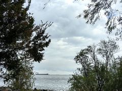 -上海吴淞炮台湾国家湿地公园