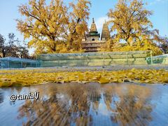 -北京石刻艺术博物馆(五塔寺)