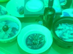 -城北食府(枫林店)