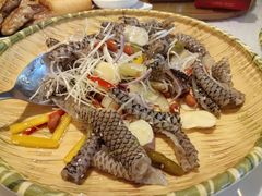 -陶缘一号·四季缘·老字号顺德菜·户外婚礼家宴(西滘店)