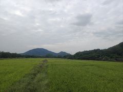 -风云岭森林公园