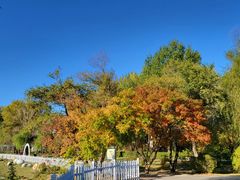 -长春市南湖公园