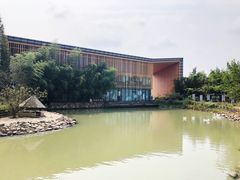 -田园东方蜜桃村的田野营地
