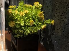 -上足·影院足道·SPA(红岭店)