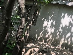 -老张烤羊(王哥庄店)