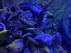 -成都浩海立方海洋公园