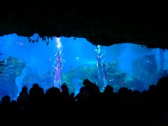 -芜湖新华联大白鲸海洋公园