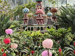 -南宫五洲植物乐园