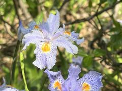 -渤公岛生态公园